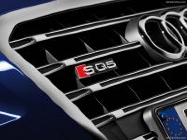 AUDI  SQ5  3.0 TDI quattro  230 KW  Leistungskit mit TÜV